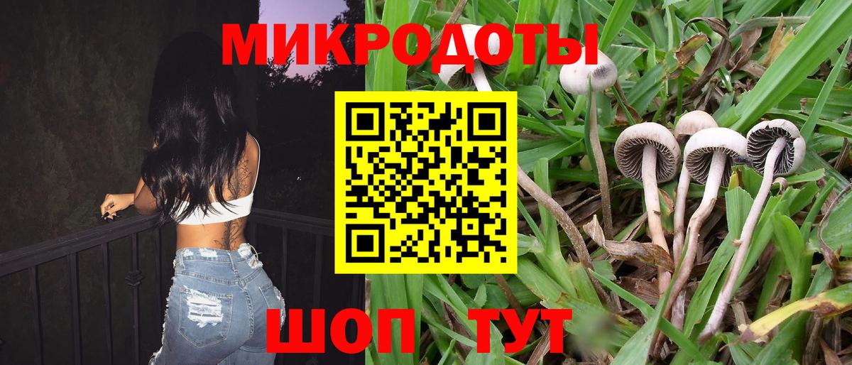 Мыски  Галлюциногенные грибы мицелий  Вход с VPN 